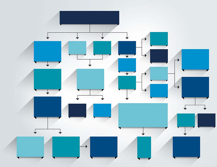 data organization